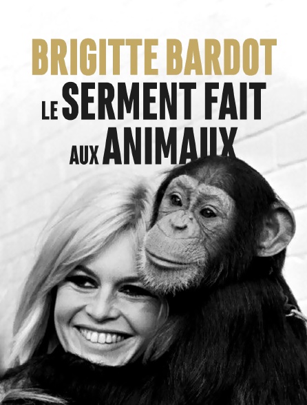 Brigitte Bardot, le serment fait aux animaux