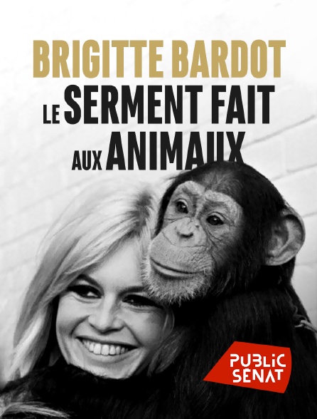 Public Sénat - Brigitte Bardot, le serment fait aux animaux