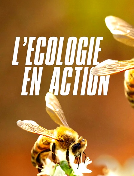 L'écologie en action