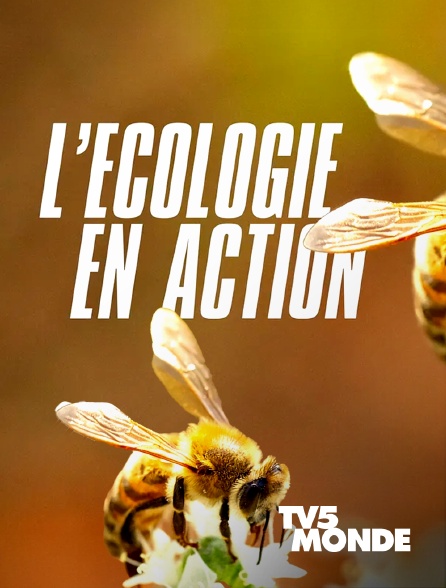 TV5MONDE - L'écologie en action