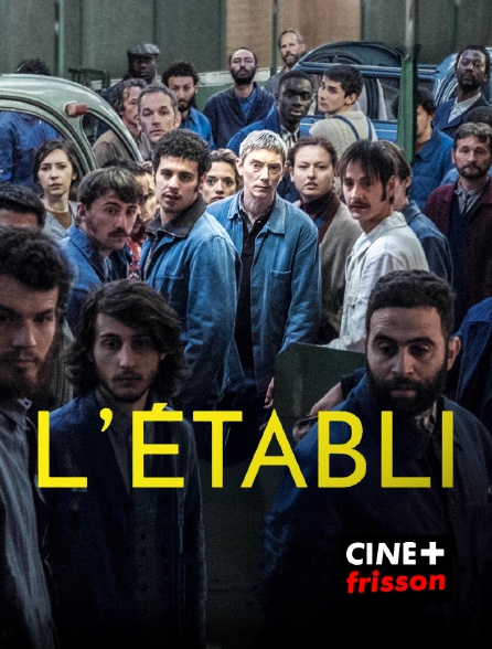 CINE+ Frisson - L'Etabli