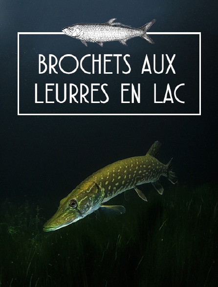 Brochets aux leurres en lacs