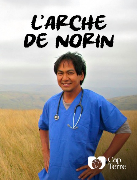 Cap Terre - L'Arche de Norin