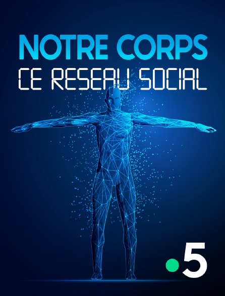 France 5 - Notre corps, ce réseau social