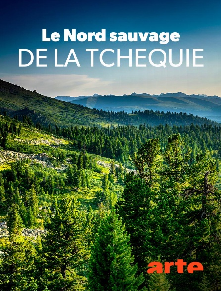 Arte - Le Nord sauvage de la Tchéquie : La forêt dans les nuages