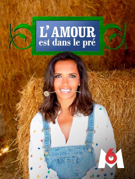 M6 - L'amour est dans le pré