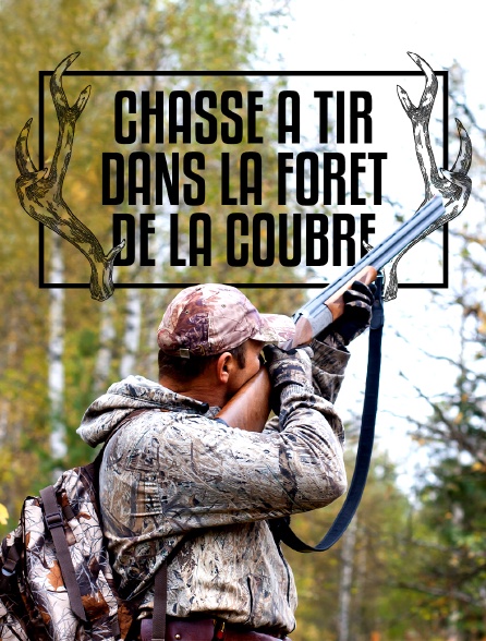 Chasse à tir dans la forêt de la Coubre