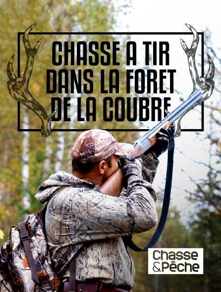 Chasse et pêche - Chasse à tir dans la forêt de la Coubre