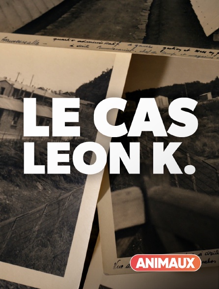 Animaux - Le cas Léon K.
