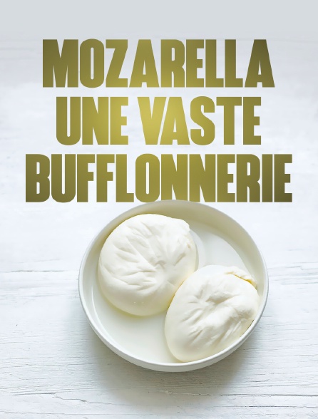 Mozzarella, une vaste bufflonnerie ?