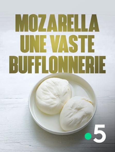 France 5 - Mozzarella, une vaste bufflonnerie ?