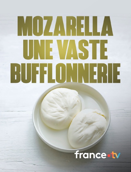 france.tv - Mozzarella, une vaste bufflonnerie ?