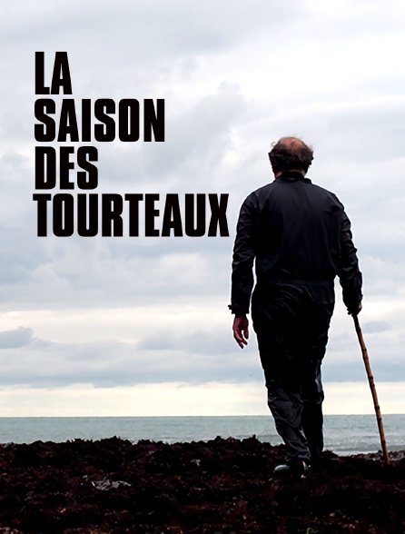 La saison des tourteaux