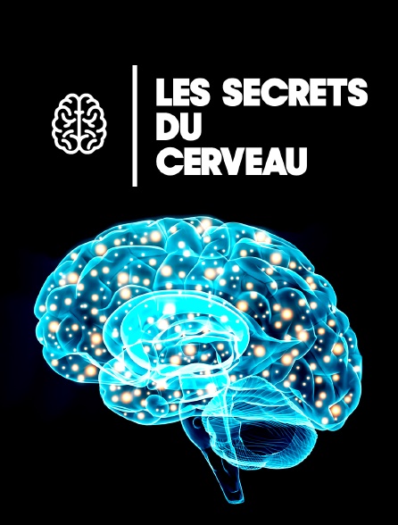 Les secrets du cerveau