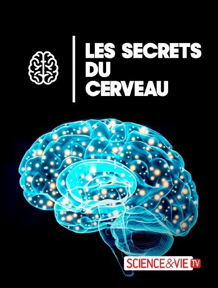Science et Vie TV - Les secrets du cerveau