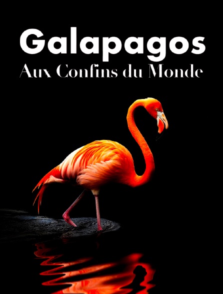 Galapagos : aux confins du monde