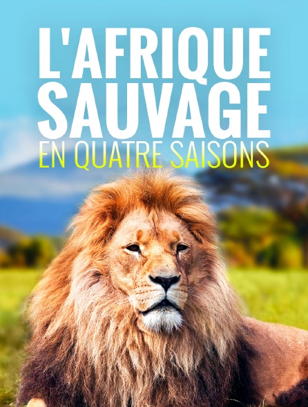 L'Afrique sauvage en quatre saisons