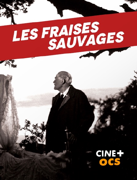 CINÉ Cinéma - Les fraises sauvages (version restaurée)