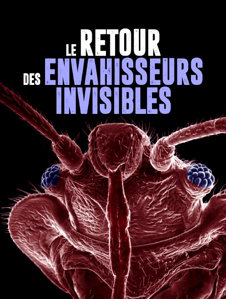 Le retour des envahisseurs invisibles