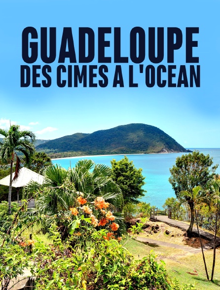 Guadeloupe, des cimes à l'océan