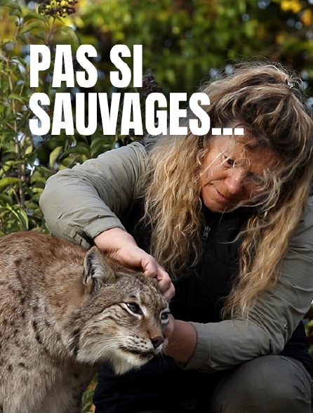 Pas si sauvages...