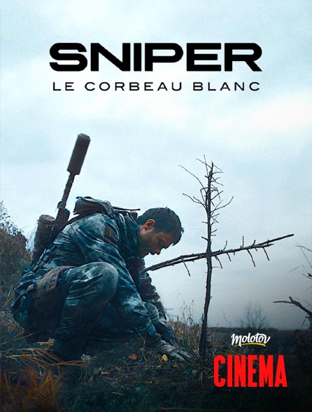 Molotov Channels Cinéma - Sniper : Le corbeau blanc