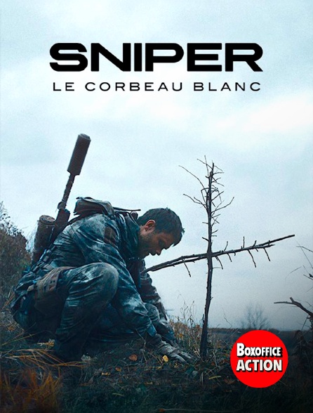 Box Office Action - Sniper: Le corbeau blanc