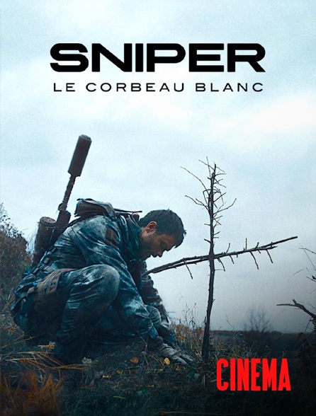 Molotov Channels Cinéma - Sniper: Le corbeau blanc