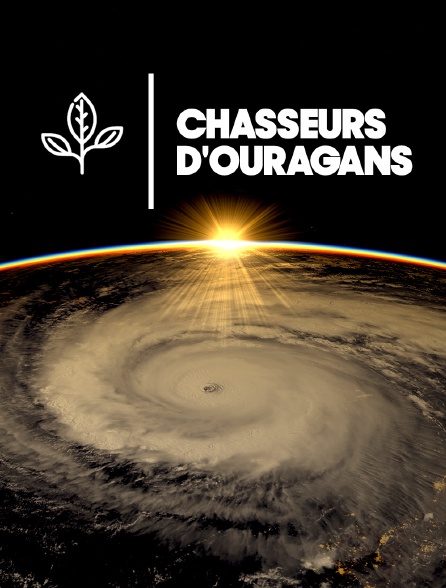 Chasseurs d'ouragans