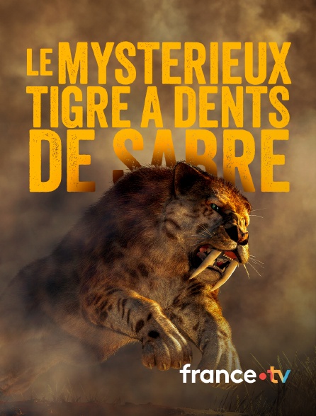 france.tv - Le mystérieux tigre à dents de sabre