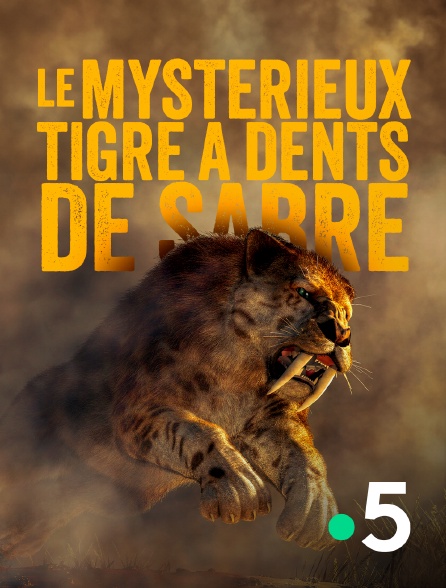 France 5 - Le mystérieux tigre à dents de sabre