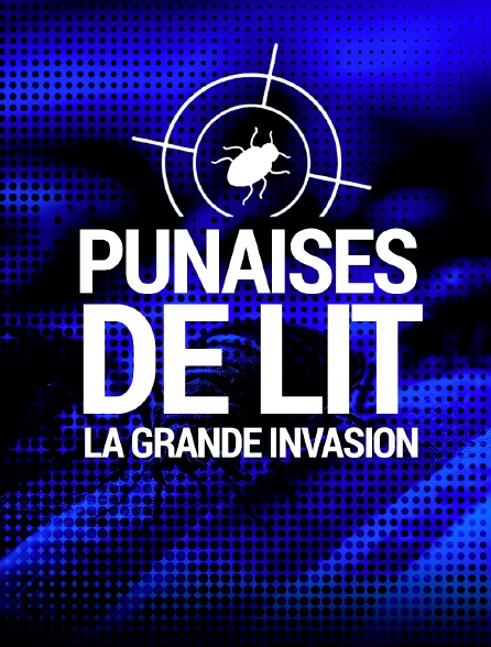 Punaises de lit : la grande invasion