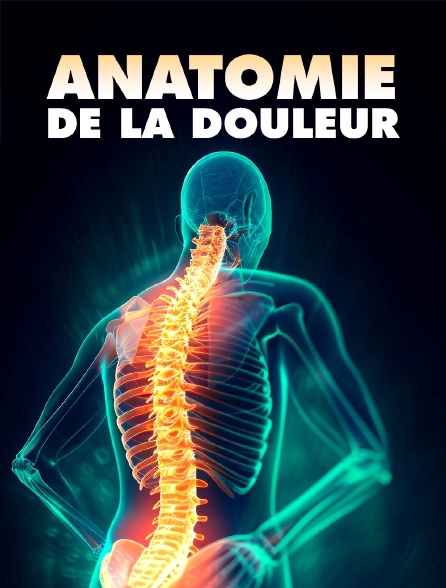 Anatomie de la douleur