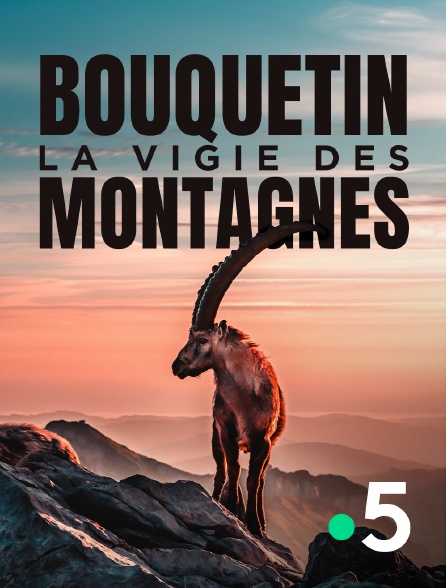 France 5 - Bouquetin, la vigie des montagnes