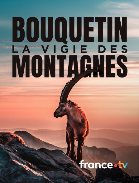 france.tv - Bouquetin, la vigie des montagnes