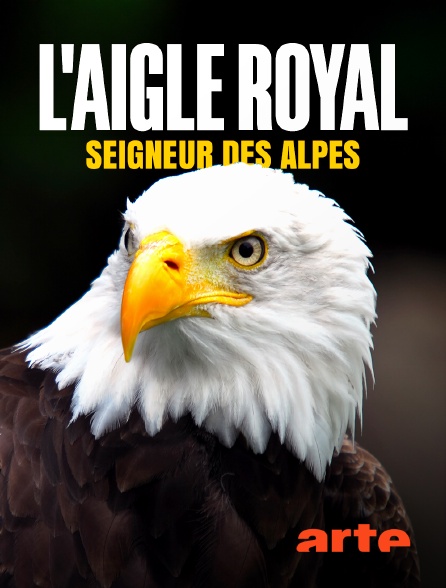 Arte - L'aigle royal, seigneur des Alpes