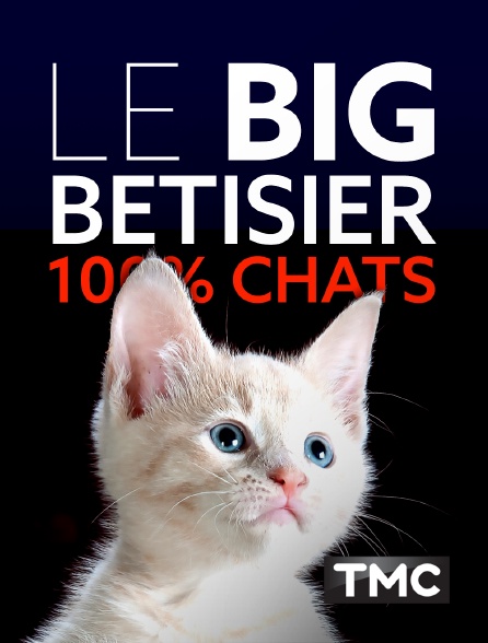 TMC - Le big bêtisier 100% chats