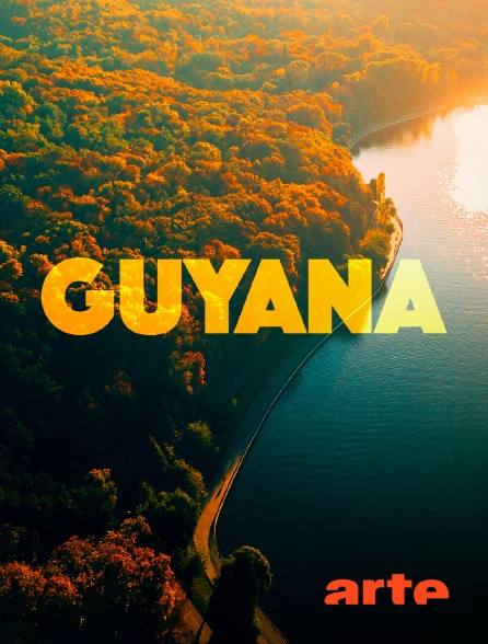 Arte - Guyana