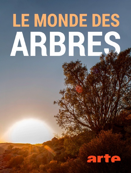 Arte - Le monde des arbres