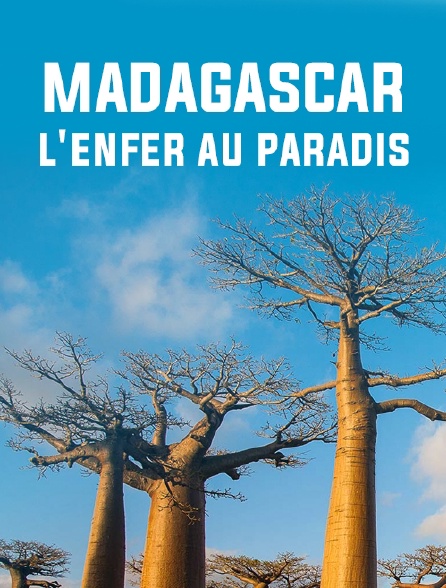Madagascar : l'enfer au paradis
