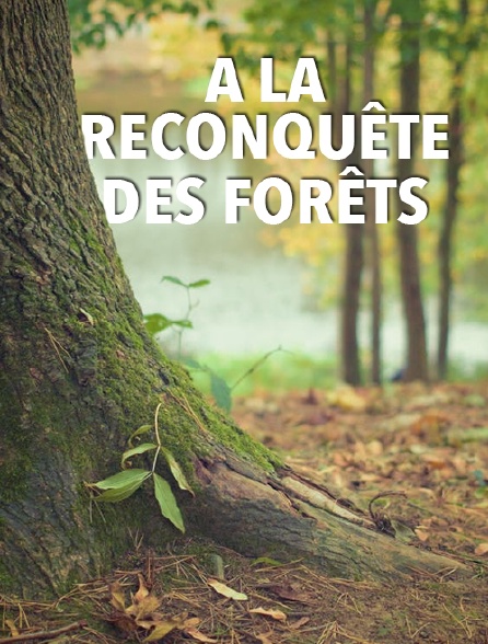 A la reconquête des forêts