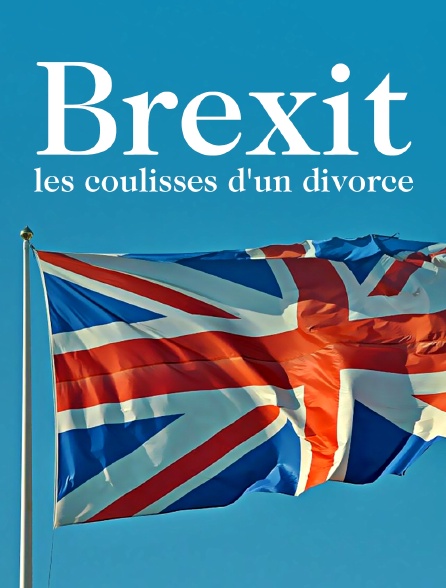 Brexit, les coulisses d'un divorce