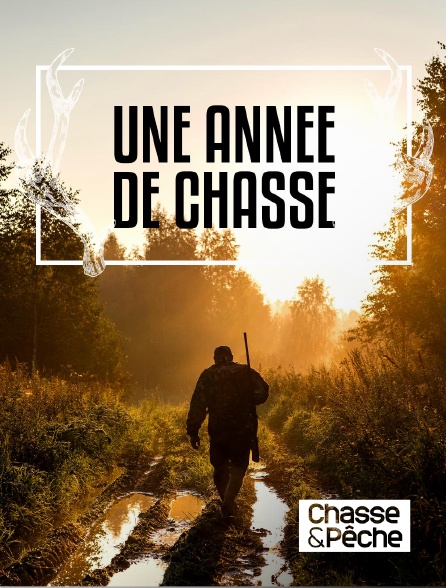 Chasse et pêche - Une année de chasse
