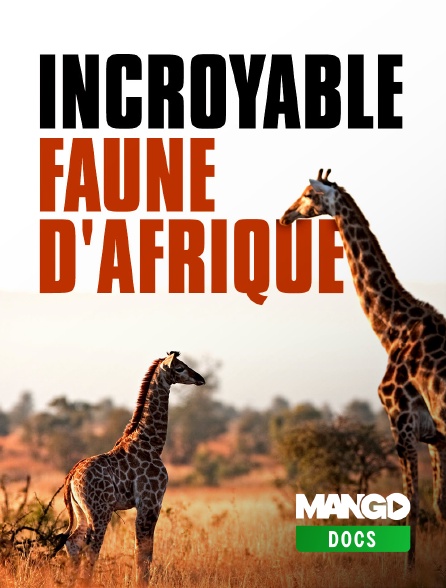 MANGO Docs - Incroyable faune d'afrique