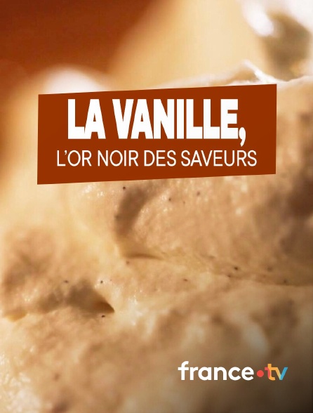france.tv - On va déguster : la vanille, l'or noir des saveurs
