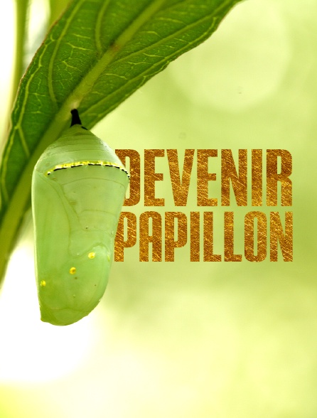 Devenir papillon