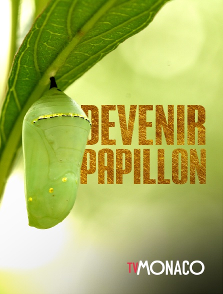TV Monaco - Devenir papillon