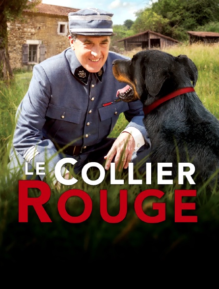 Le collier rouge