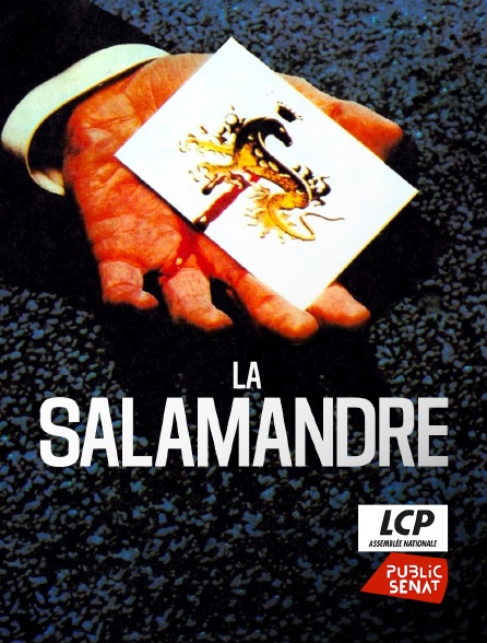 LCP Public Sénat - La salamandre