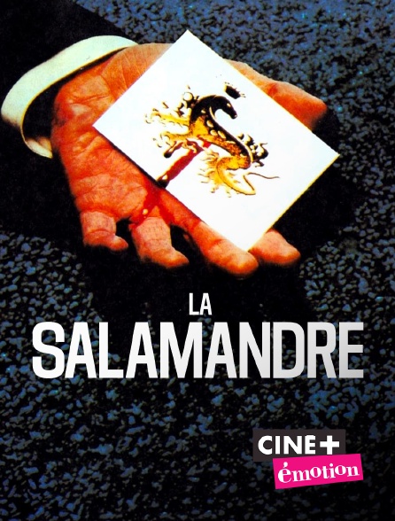 Ciné+ Emotion - La salamandre